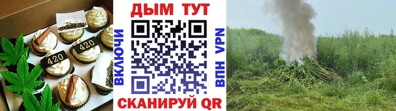 Cannafood конопля  Купить закладки  Нахабино 