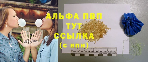 бошки Гусев