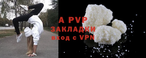 бошки Гусев