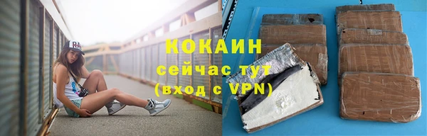 бошки Гусев