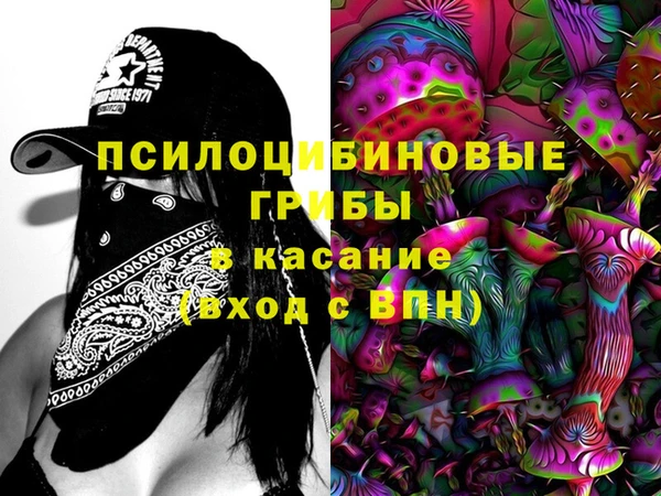 бошки Гусев