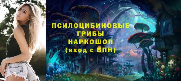 бошки Гусев